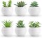Set of 6 Mini Artificial Succulent Plants in Pots – Small Fake Potted Plants for Home Decor, Bedroom, Bathroom, Office Desk & Shelf Aesthetic Decorations